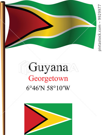 guyana wavy flag and coordinates 9929977