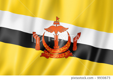 Bruneian flag 9930673