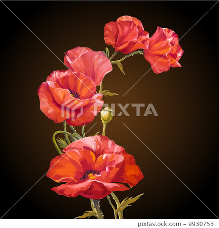 Oil painting. Card with poppies flowers Oil painting. Card with poppies flowers 9930753
