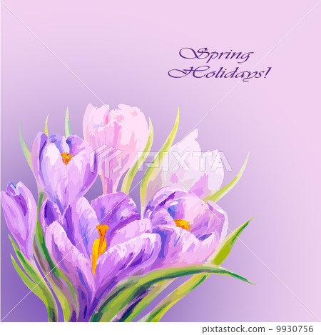 8 March. Crocuses. 8 March. Crocuses. 9930756