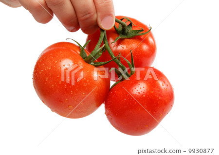 Beautiful woman's hand with a fresh tomato, isolated on white. 9930877