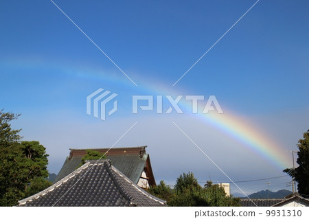 Rainbow Rainbow 9931310