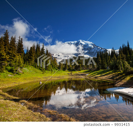 Mt.Rainier 9931415