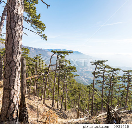 Crimean mountains 9931416