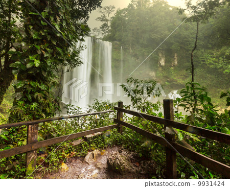 Waterfall in Mexico Waterfall in Mexico 9931424