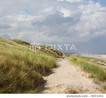 Ocean coast Ocean coast 9931441