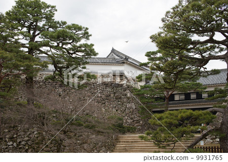 Kochi Castle Nakatokan Eringum gate Important Cultural Property From Sannomaru Square 9931765