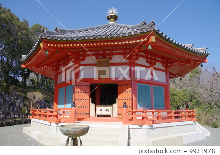 下田Natsumata自然公園Aizen 下田Natsumata自然公園Aizen 9931978