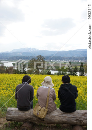 父母和孩子在Naniyama強姦花節 父母和孩子在Naniyama強姦花節 9932345