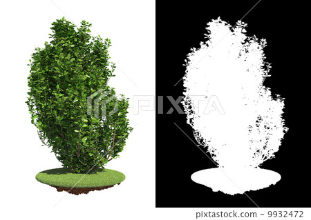 Green Shrub with Detail Raster Mask. Green Shrub with Detail Raster Mask. 9932472