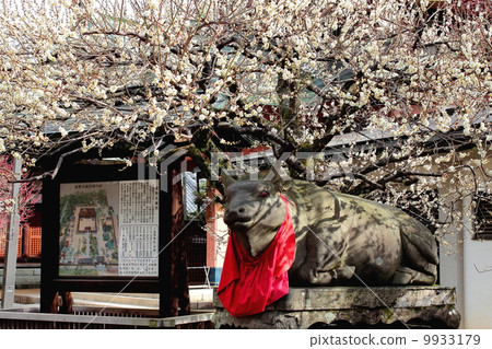 Kyoto Kitano Tenman-mae Mei 9933179