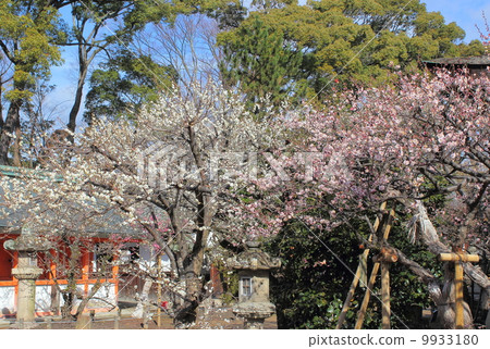 Kyoto Kitano Tenman-mae Mei 9933180