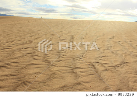 Death Valley National Park after the rain Death Valley National Park after the rain 9933229