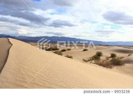 Death Valley National Park after the rain Death Valley National Park after the rain 9933236
