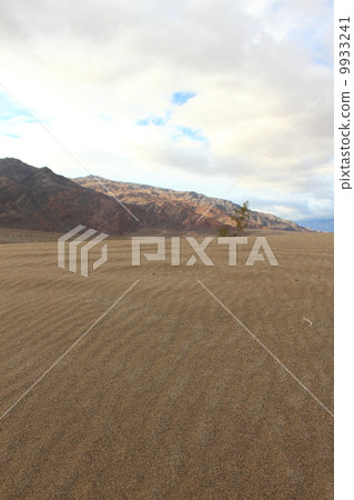 雨後的死亡谷國家公園 雨後的死亡谷國家公園 9933241