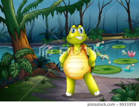 A turtle inside the forest A turtle inside the forest 9933959