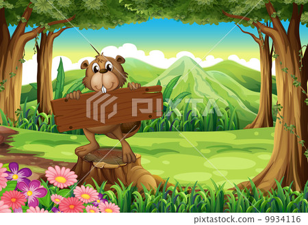 A beaver holding an empty signboard at the forest A beaver holding an empty signboard at the forest 9934116