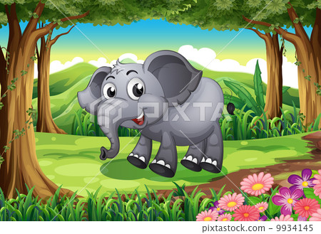 A smiling elephant at the forest A smiling elephant at the forest 9934145