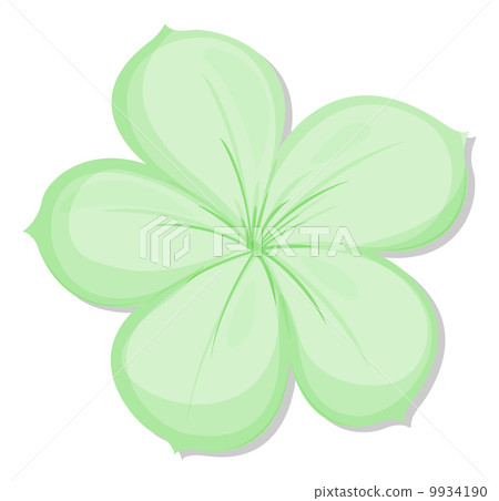 A five-petal green flower 9934190