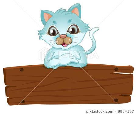 A beautiful cat leaning over the wooden signboard A beautiful cat leaning over the wooden signboard 9934197