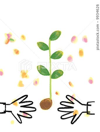 Hands and seedlings Hands and seedlings 9934626