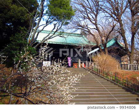 湯島神社 9934806
