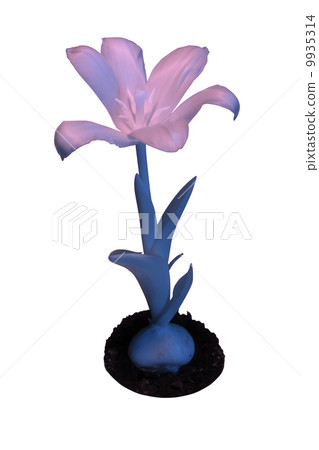 Flower in infrared light 9935314