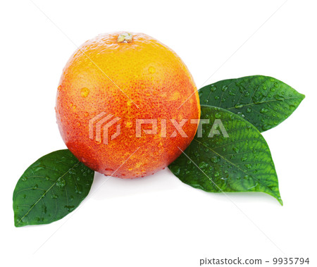 Blood orange with green leaves isolated on white background. 9935794