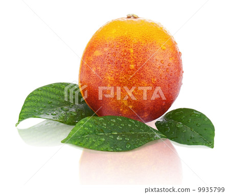 Blood orange with green leaves isolated on white background. 9935799