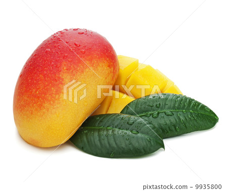 Mango fruit with green leaves isolated on white background. Mango fruit with green leaves isolated on white background. 9935800