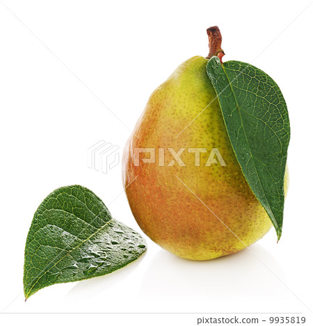 Pear with green leaves isolated on white background. Pear with green leaves isolated on white background. 9935819
