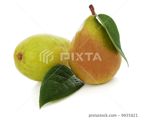 Pears with green leaves isolated on white background. 9935821