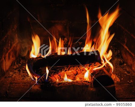 Fireplace with birch firewood and flame. Fireplace with birch firewood and flame. 9935860