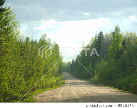 dirt road in the woods dirt road in the woods 9936144