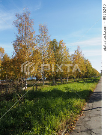 park park 9936240
