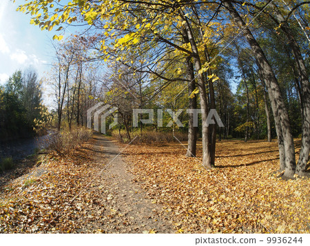 park park 9936244