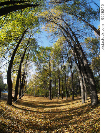 park park 9936246