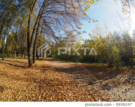 park 9936247