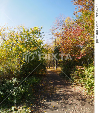 park park 9936248