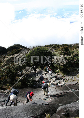 Mountain climbing Kinabalu 9936850