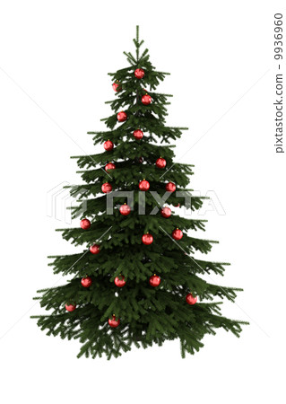 christmas tree with red balls isolated on white... - Stock Illustration ...