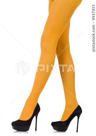 Woman legs in long stockings 9937955