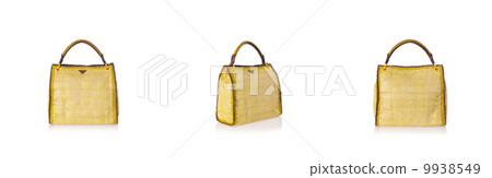 Woman bag isolated on the white background 9938549