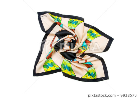Warm scarf isolated on the white background 9938573