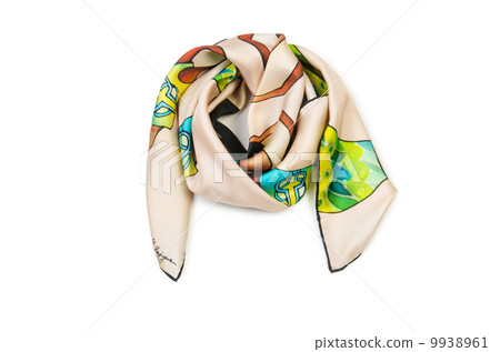 Warm scarf isolated on the white background Warm scarf isolated on the white background 9938961
