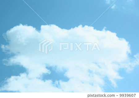 雲花 9939607