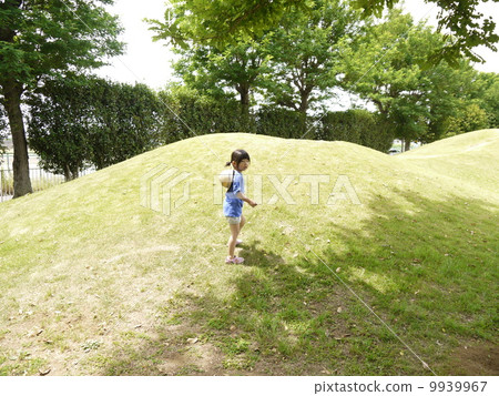 初夏的一天 初夏的一天 9939967