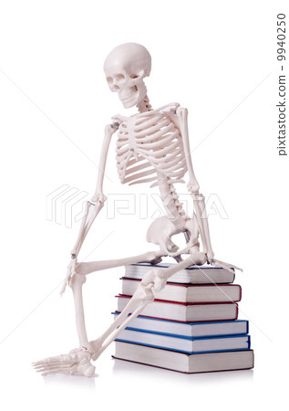 Skeleton reading books on white 9940250