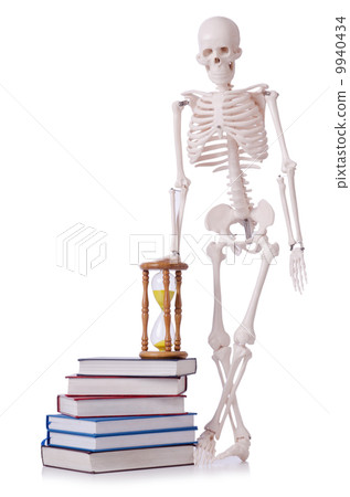 Skeleton reading books on white Skeleton reading books on white 9940434