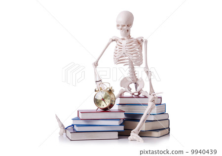 Skeleton reading books on white Skeleton reading books on white 9940439